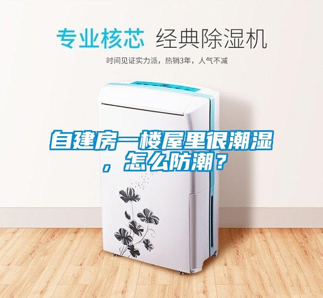 自建房一楼屋里很潮湿，怎么防潮？