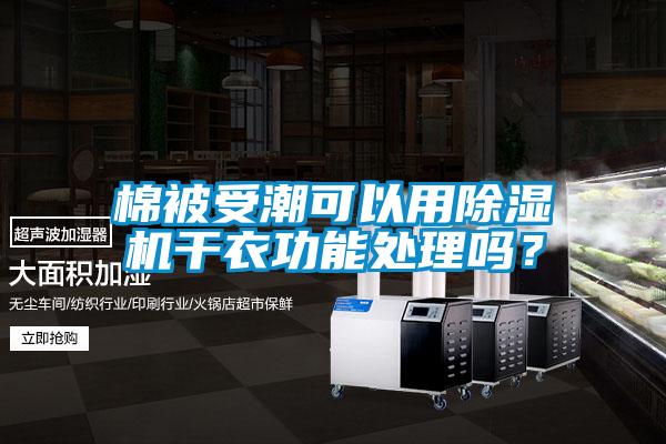 棉被受潮可以用91抖音免费看片干衣功能处理吗？