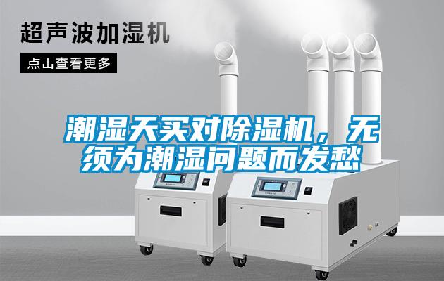 潮湿天买对91抖音免费看片，无须为潮湿问题而发愁