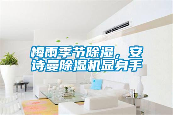 梅雨季节除湿，成人抖音在线下载91抖音免费看片显身手