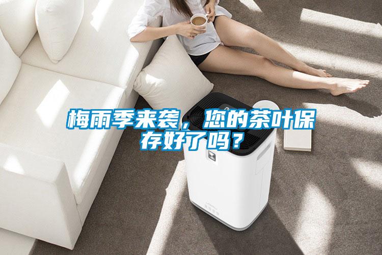 梅雨季来袭，您的茶叶保存好了吗？