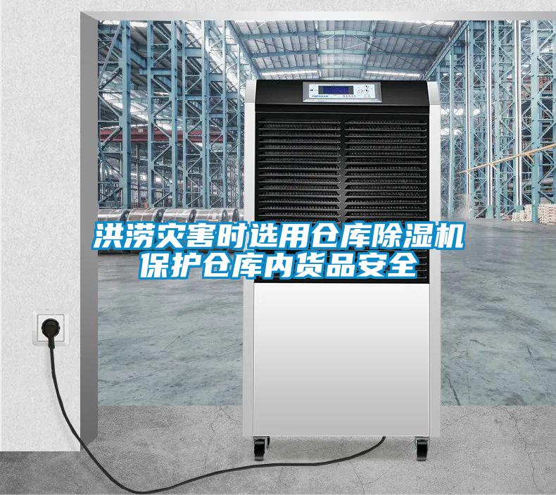 洪涝灾害时选用仓库91抖音免费看片保护仓库内货品安全