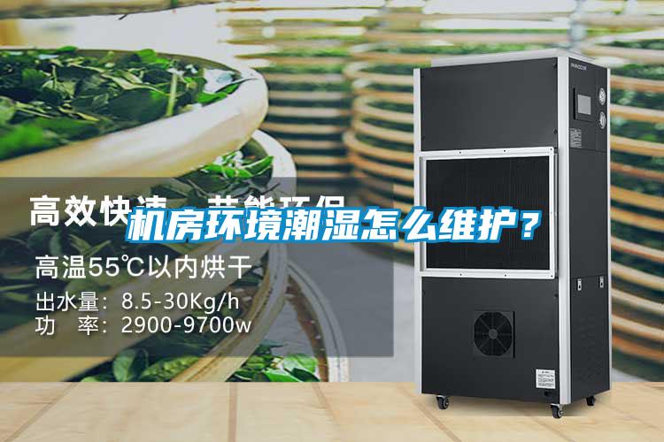 机房环境潮湿怎么维护？
