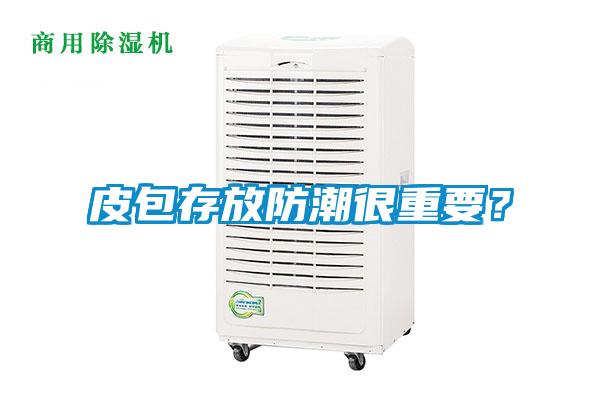 皮包存放防潮很重要？