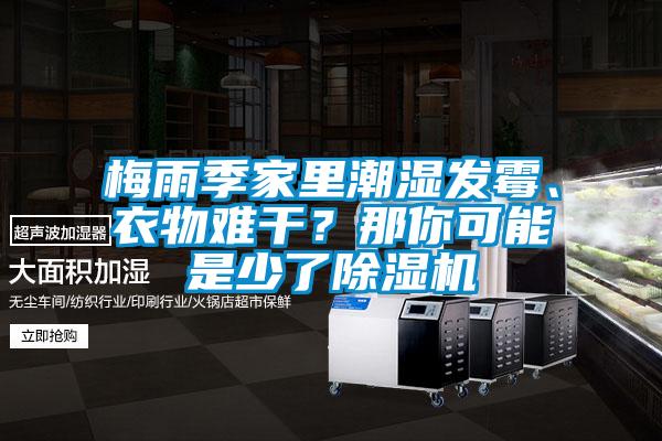 梅雨季家里潮湿发霉、衣物难干？那你可能是少了91抖音免费看片