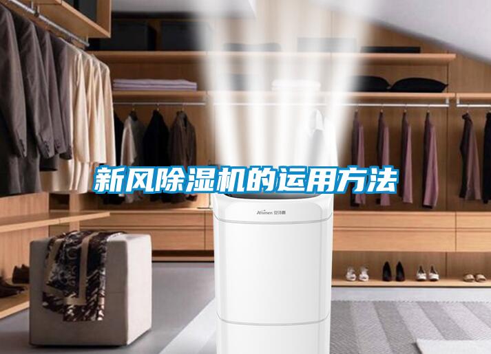 新风91抖音免费看片的运用方法
