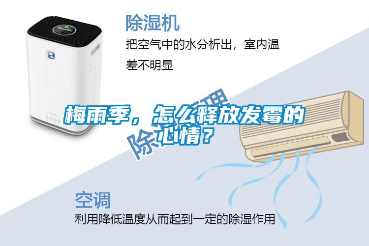 梅雨季，怎么释放发霉的心情？