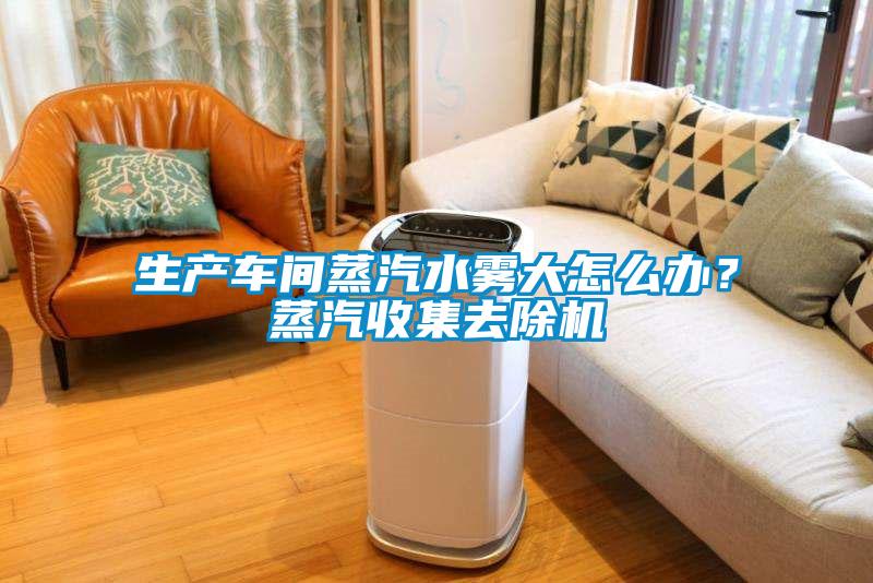 生产车间蒸汽水雾大怎么办？蒸汽收集去除机