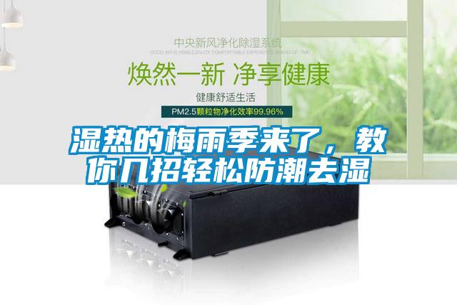 湿热的梅雨季来了，教你几招轻松防潮去湿