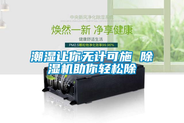 潮湿让你无计可施 91抖音免费看片助你轻松除