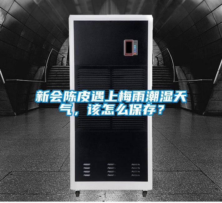新会陈皮遇上梅雨潮湿天气，该怎么保存？