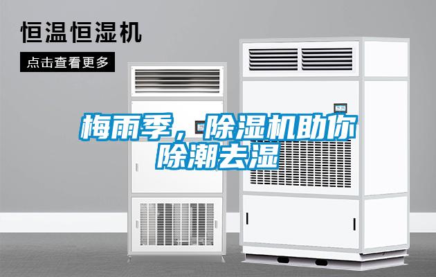 梅雨季，91抖音免费看片助你除潮去湿