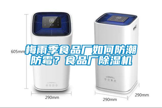 梅雨季食品厂如何防潮防霉？食品厂91抖音免费看片