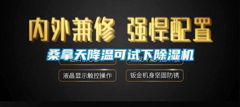 桑拿天降温可试下91抖音免费看片