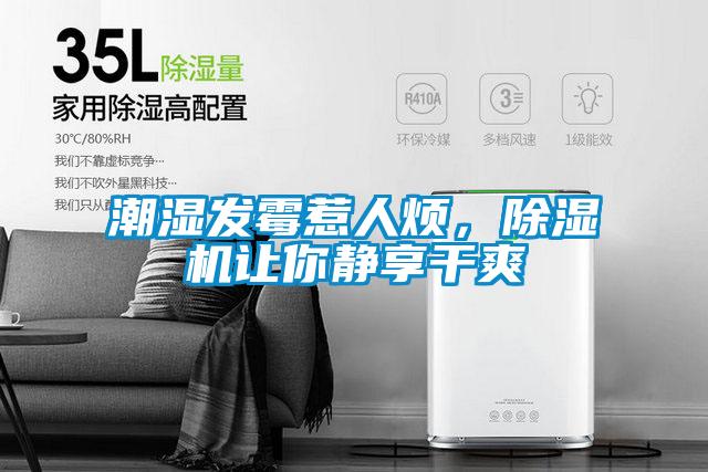 潮湿发霉惹人烦，91抖音免费看片让你静享干爽