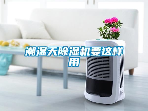 潮湿天91抖音免费看片要这样用