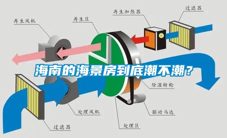 海南的海景房到底潮不潮？
