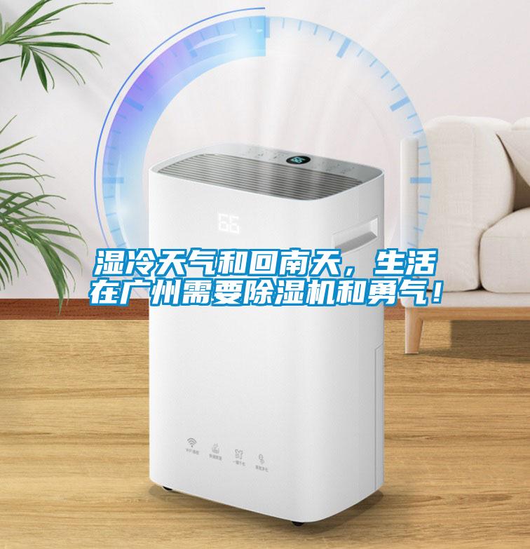 湿冷天气和回南天，生活在广州需要91抖音免费看片和勇气！