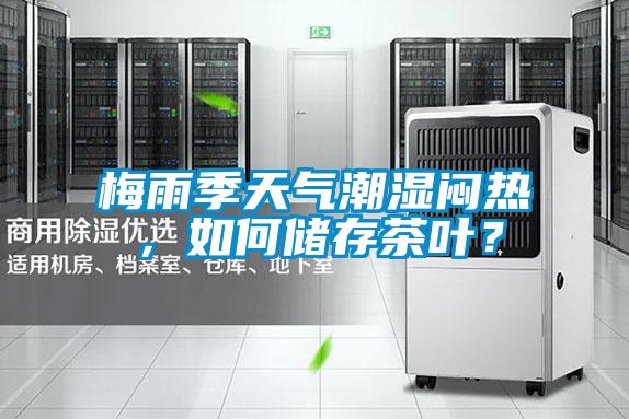 梅雨季天气潮湿闷热，如何储存茶叶？