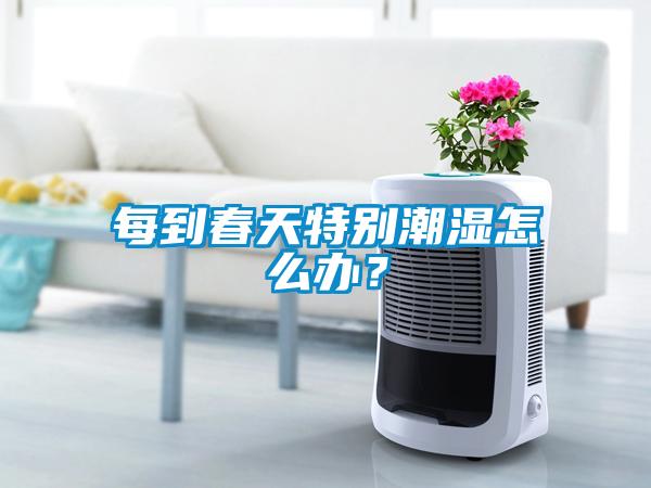 每到春天特别潮湿怎么办？