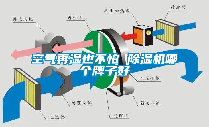空气再湿也不怕 91抖音免费看片哪个牌子好
