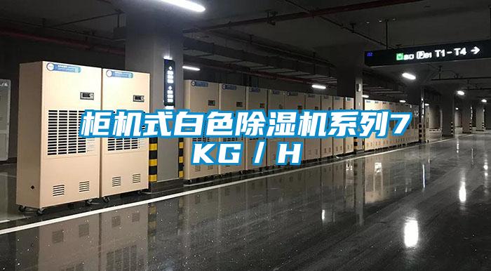柜机式白色91抖音免费看片系列7KG／H