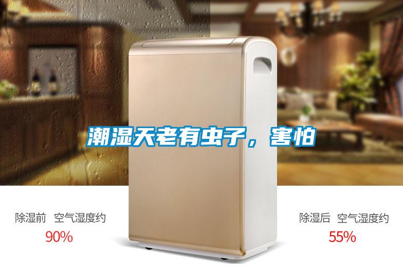潮湿天老有虫子，害怕