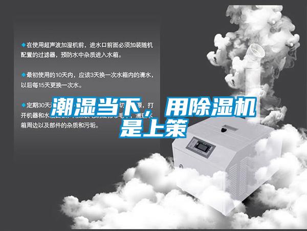 潮湿当下，用91抖音免费看片是上策