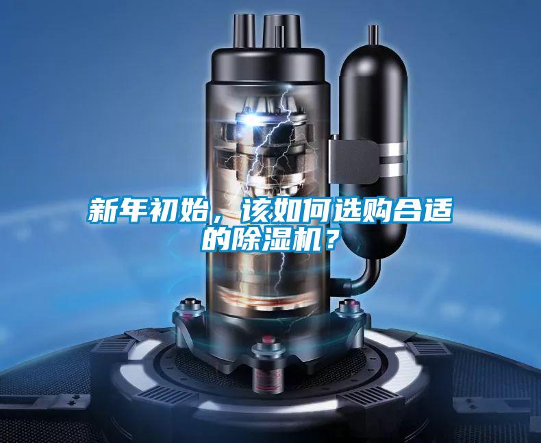 新年初始，该如何选购合适的91抖音免费看片？