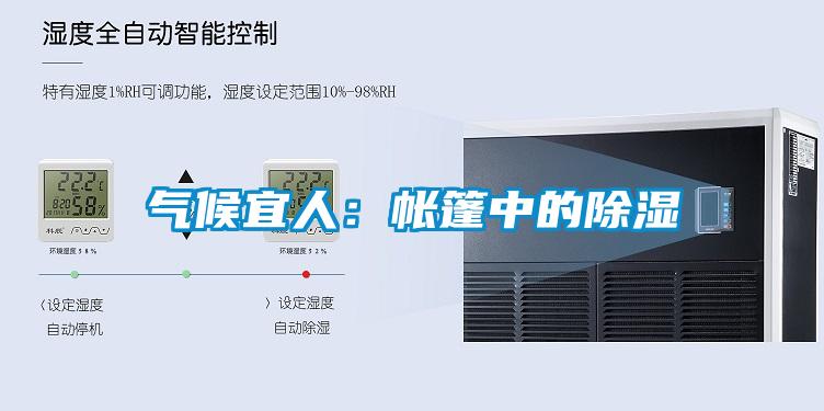 气候宜人：帐篷中的除湿