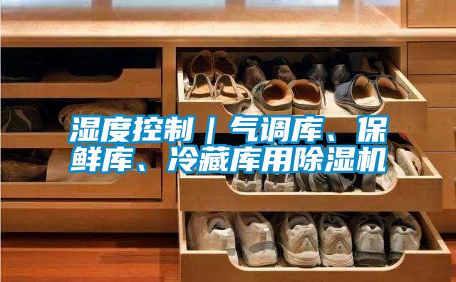 湿度控制｜气调库、保鲜库、冷藏库用91抖音免费看片
