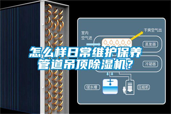 怎么样日常维护保养管道吊顶91抖音免费看片？