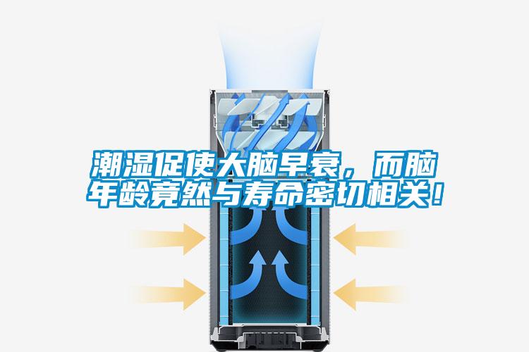 潮湿促使大脑早衰，而脑年龄竟然与寿命密切相关！