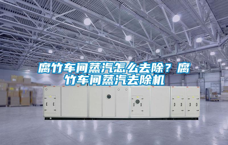 腐竹车间蒸汽怎么去除？腐竹车间蒸汽去除机