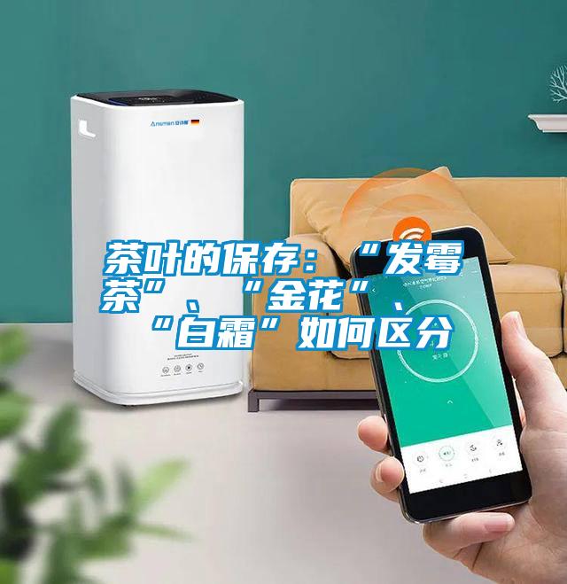 茶叶的保存：“发霉茶”、“金花”、“白霜”如何区分