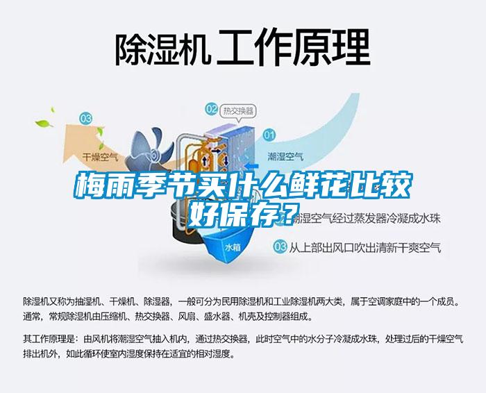 梅雨季节买什么鲜花比较好保存？