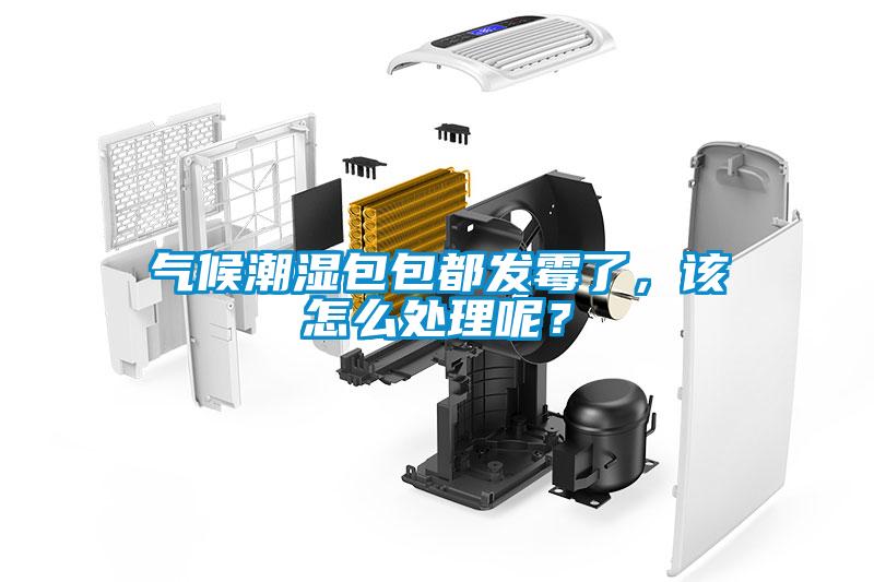 气候潮湿包包都发霉了，该怎么处理呢？