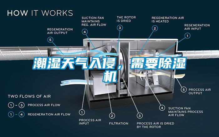 潮湿天气入侵，需要91抖音免费看片