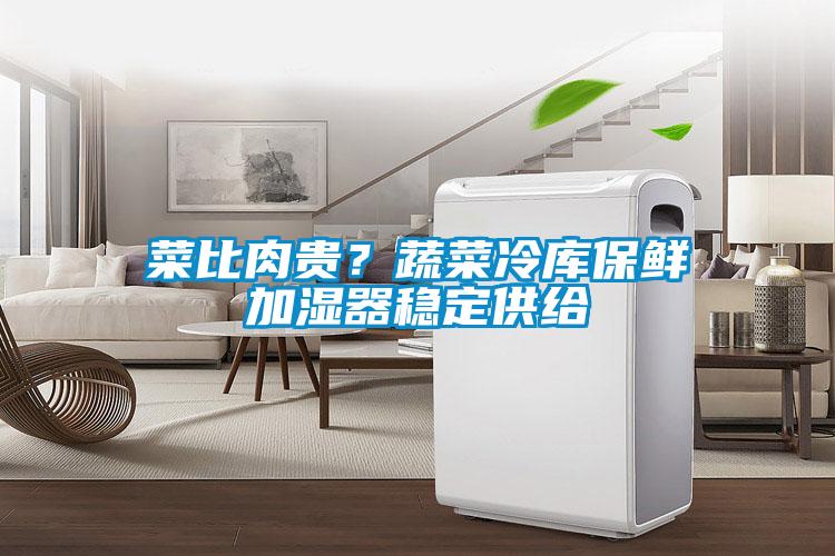 菜比肉贵？蔬菜冷库保鲜加湿器稳定供给