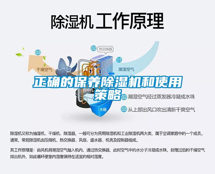 正确的保养91抖音免费看片和使用策略