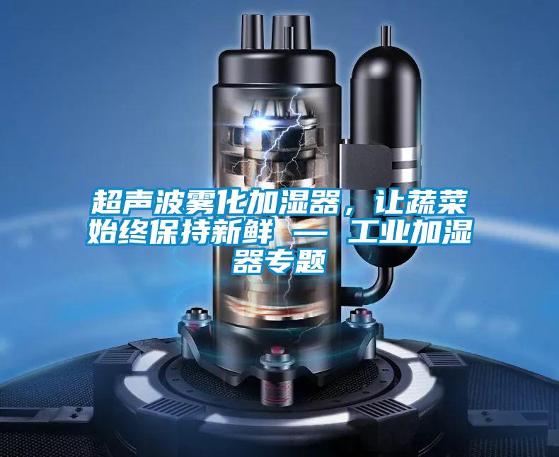 超声波雾化加湿器，让蔬菜始终保持新鲜 — 工业加湿器专题