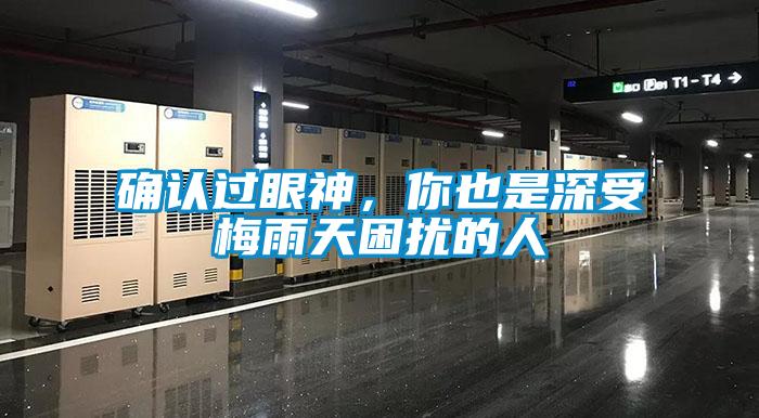确认过眼神，你也是深受梅雨天困扰的人