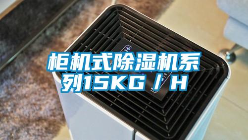 柜机式91抖音免费看片系列15KG／H