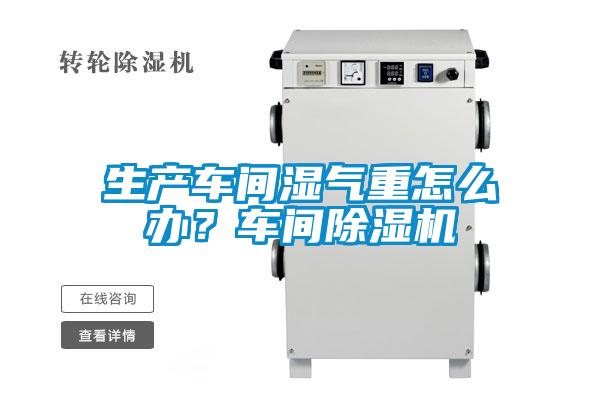 生产车间湿气重怎么办？车间91抖音免费看片