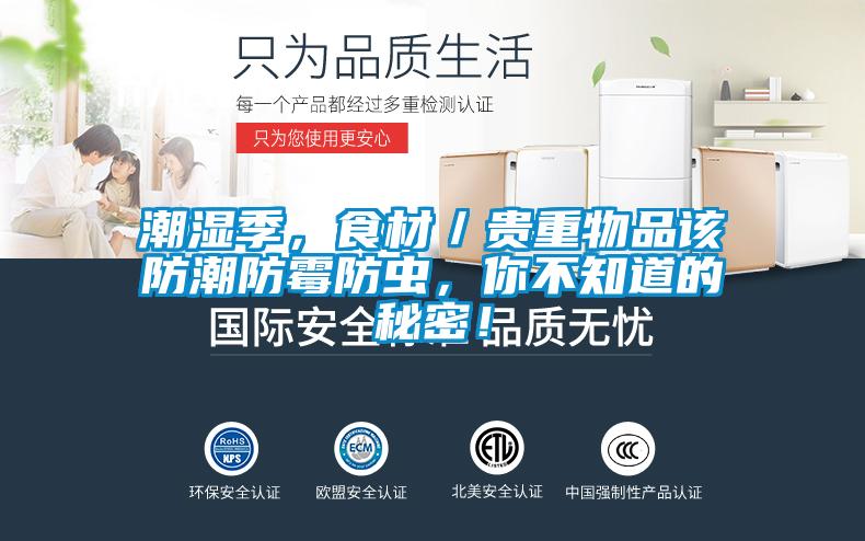 潮湿季，食材／贵重物品该防潮防霉防虫，你不知道的秘密！