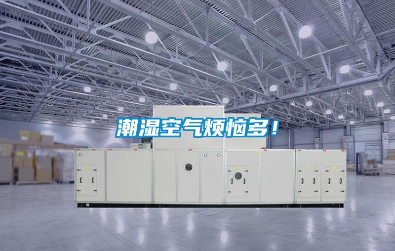 潮湿空气烦恼多！