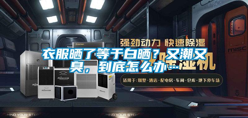衣服晒了等于白晒？又潮又臭，到底怎么办…