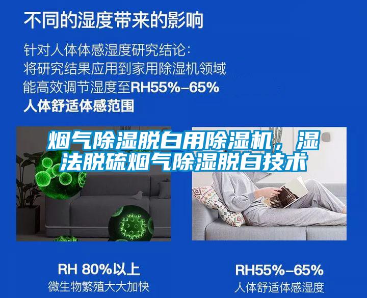 烟气除湿脱白用91抖音免费看片，湿法脱硫烟气除湿脱白技术
