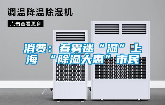 消费：春雾迷“湿”上海 “除湿大惠”市民