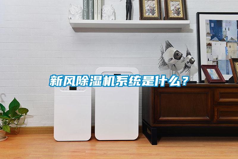 新风91抖音免费看片系统是什么？